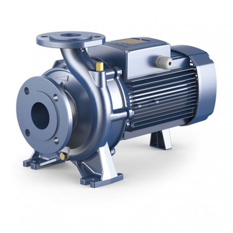 Pedrollo F65/160A Pompa Sentrifugal/Centrifugal Pumps (15 kW)