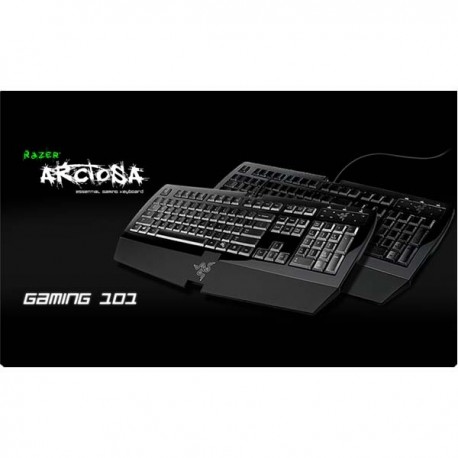 Razer Arctosa Asus