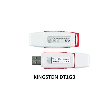 Kingston NE DT1G3-32GB